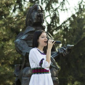 Višnjićevi dani 2013.